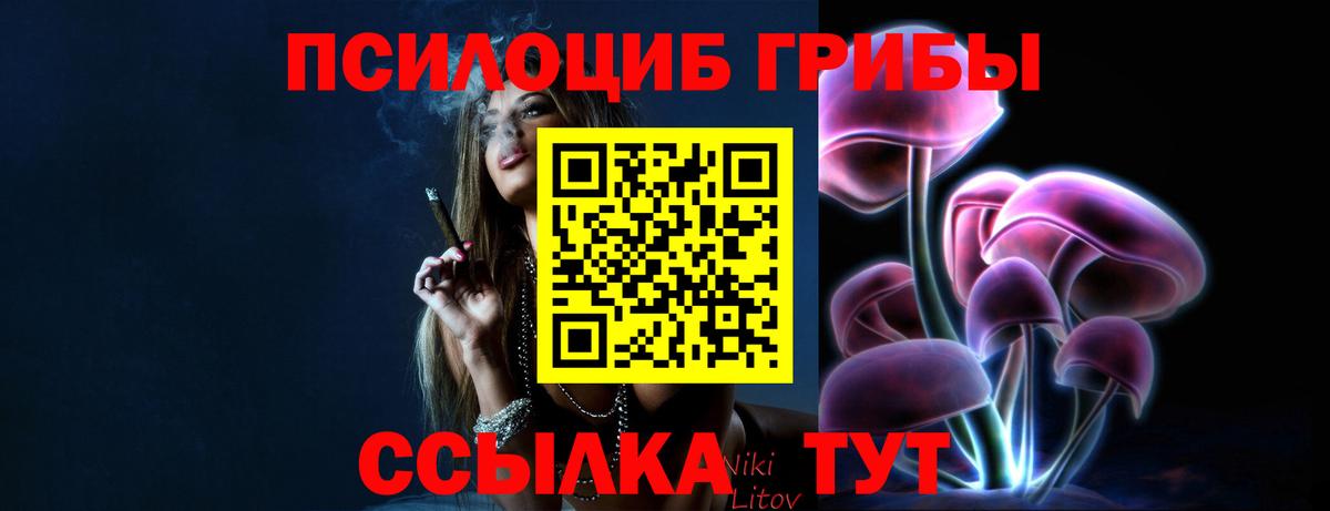 Псилоцибиновые грибы Cubensis  Вход с VPN  Галлюциногенные грибы прущие грибы  купить наркотик  Губкинский 